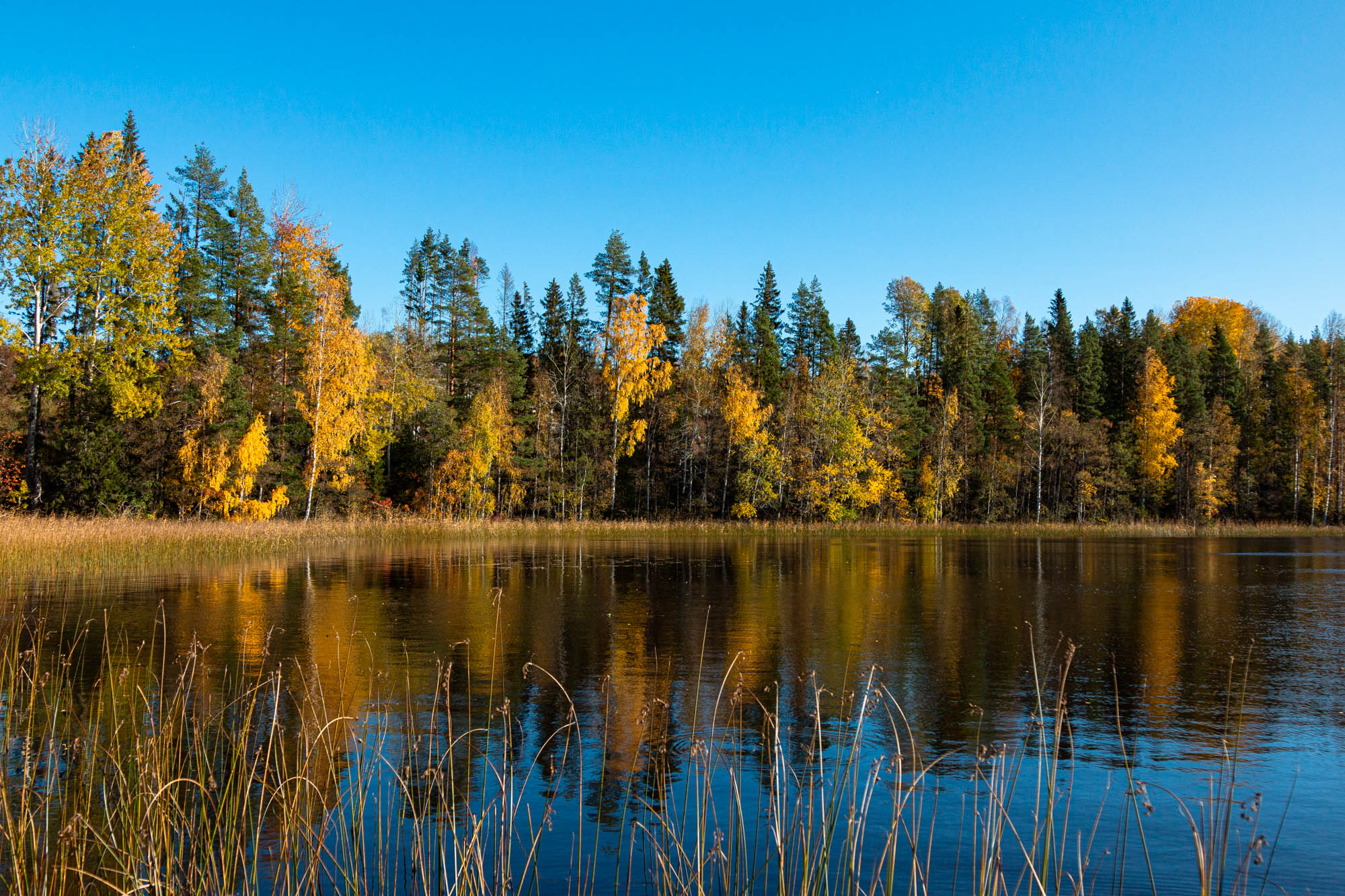 Backavägen 6 A, 824 60, FORSA
