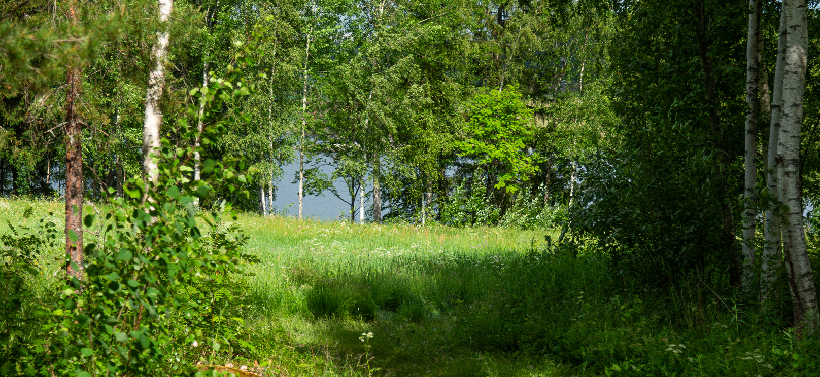 Smedjegatan 10 B, 824 70, DELSBO