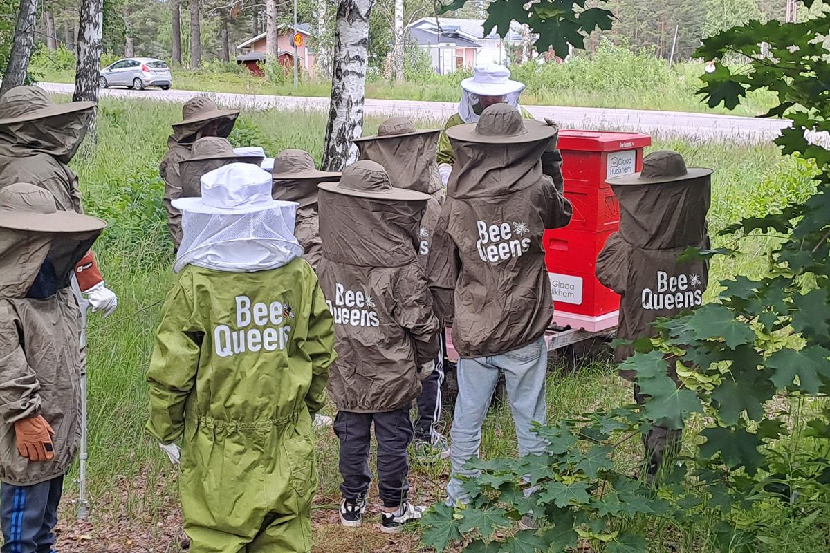 Bilden visar en grupp människor på guidat besök vid bikupan på Östanbräck.
